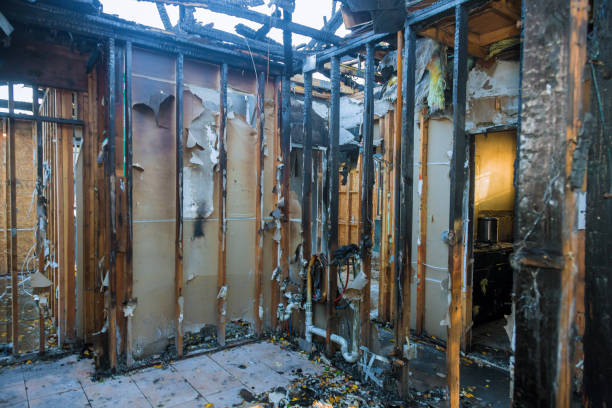 Professional Fire Damage Removal technician working in Birmingham, NJ
